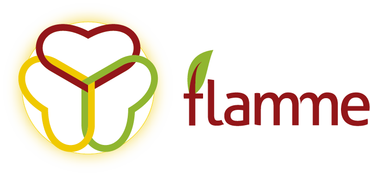 Logo de L'Association Flamme