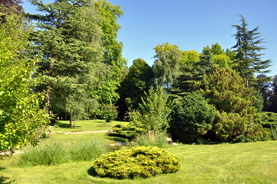 Parc du château de Ferrières